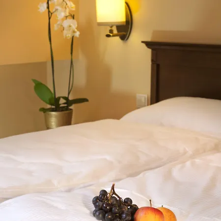 فندق مبيت وإفطار Kobza Haus Old Town 4*